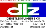 DLZ Logo