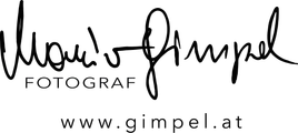 Gimpel Logo